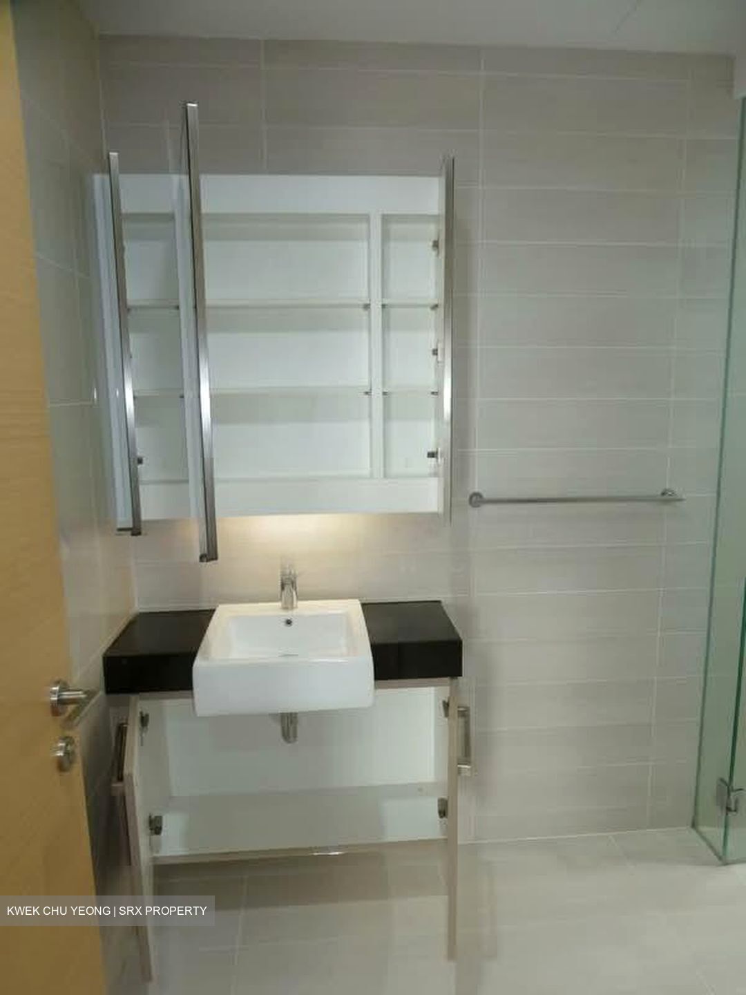 Cityscape @ Farrer Park (D8), Condominium #568592111